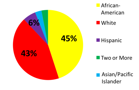 lrsd-estem-pie-chart